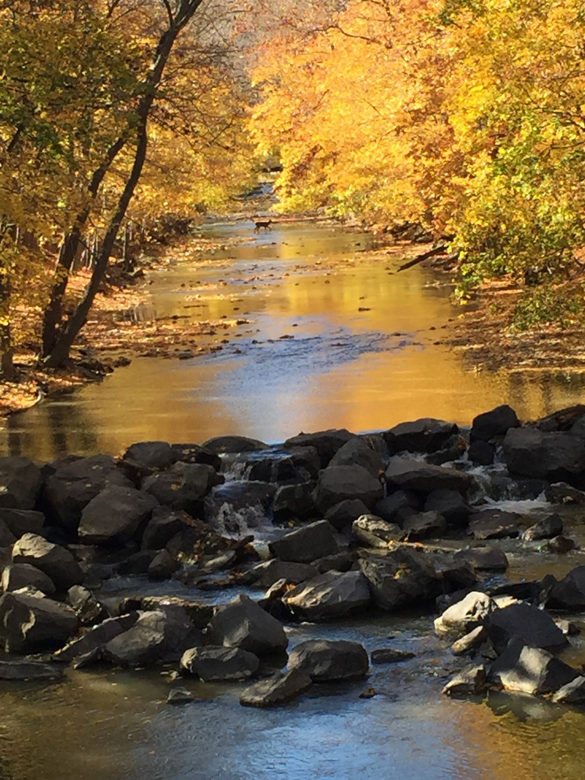 Taken by Aubrey Tomassi